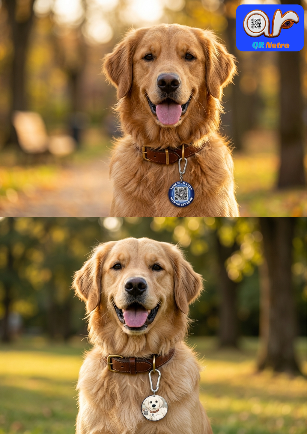 QR Netra Smart Dog ID Tag with QR Code | Digital Pet Profile, Scan & Location Alerts, Medical Info | No App Required | 45mm Acrylic Tag
